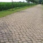 Phorphyrstrasse Breessen.jpg